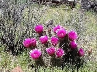 2480 Spring Crest Dr, Prosper, TX 75078