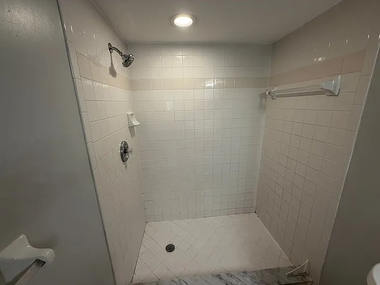 28231 Pine Haven Way #164 — Photo 14