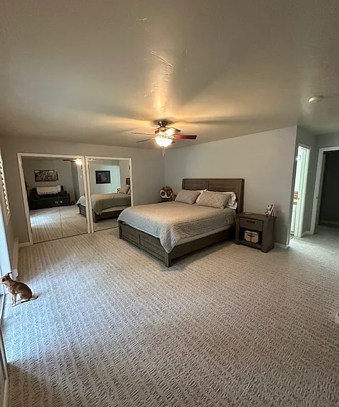 114 Spruce Ct — Photo 13