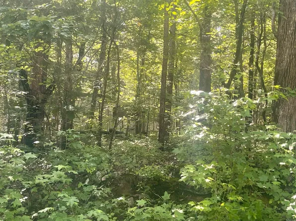 0 Roxie Ln, Higden, AR 72067