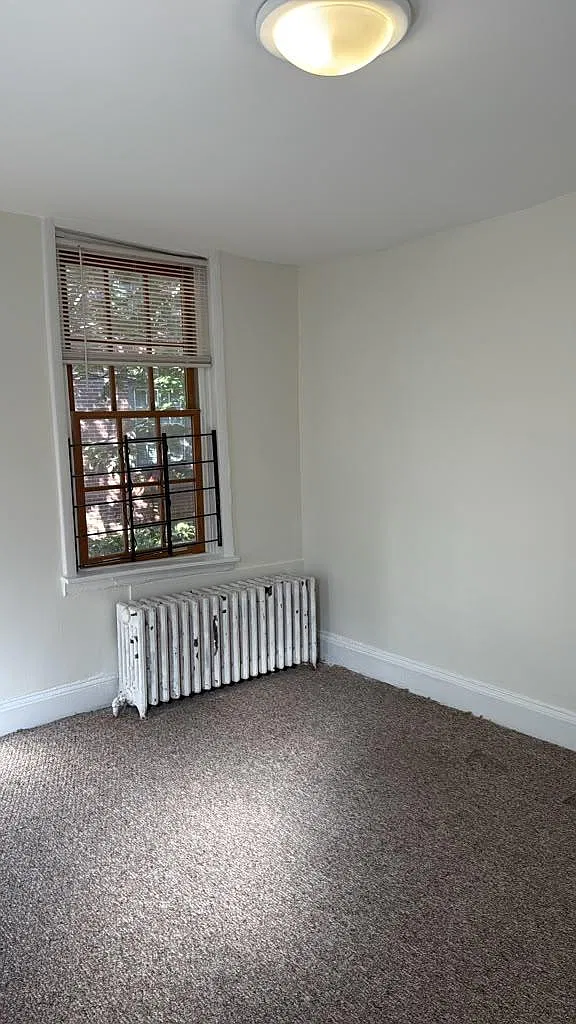 1 bed, $1,200 — Photo 3