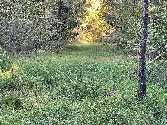 126th image of 450 County Road 28