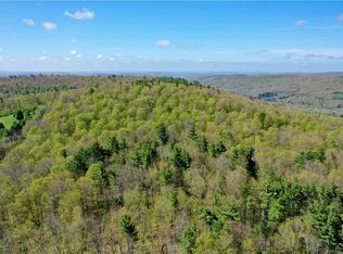 Mill Creek Rd, Otego, NY 13825