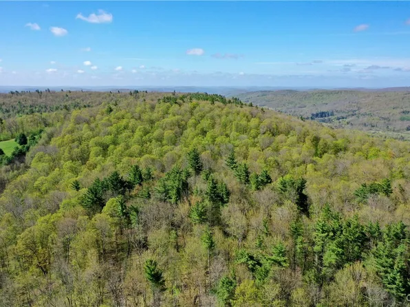 Mill Creek Rd, Otego, NY 13825