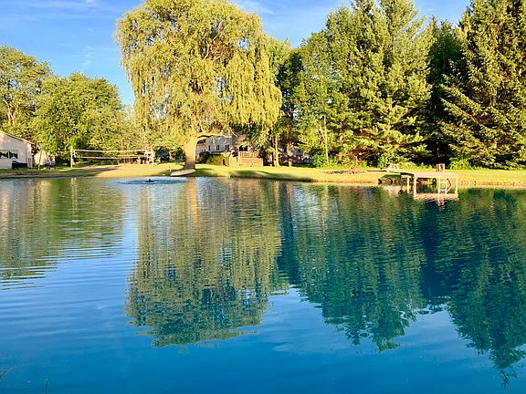 Beautiful treated pond 