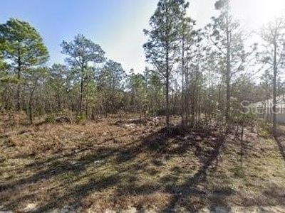16106 S Medrick Rd #12, Brooksville, FL, 34614