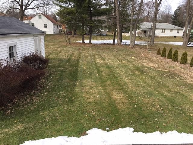 back yard