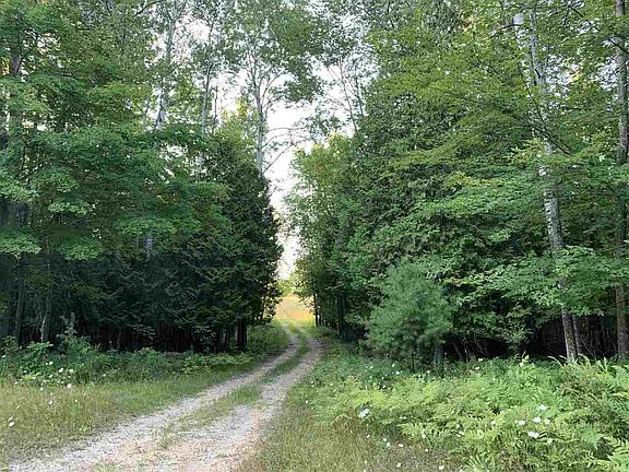 2nd image of 17770 Old Orchard Trl