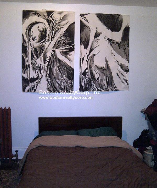 2nd image of 519 Park Dr APT 1B