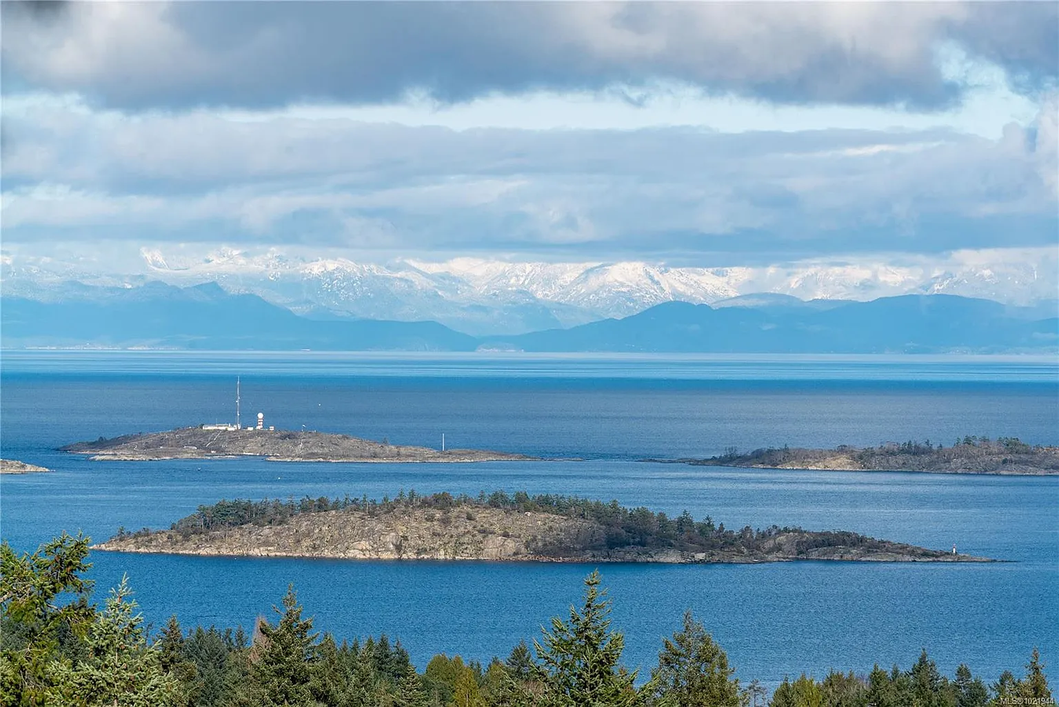 7297 Aulds Rd photo 1