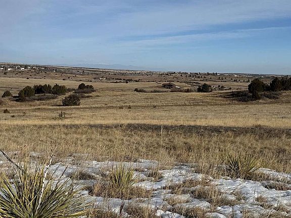 5th image of Davlin Street