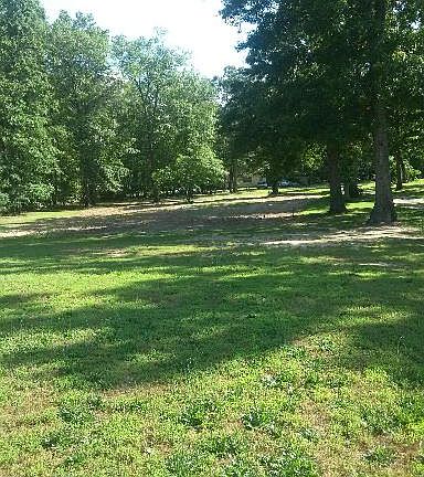4th image of 37564 Terry Swann Ln