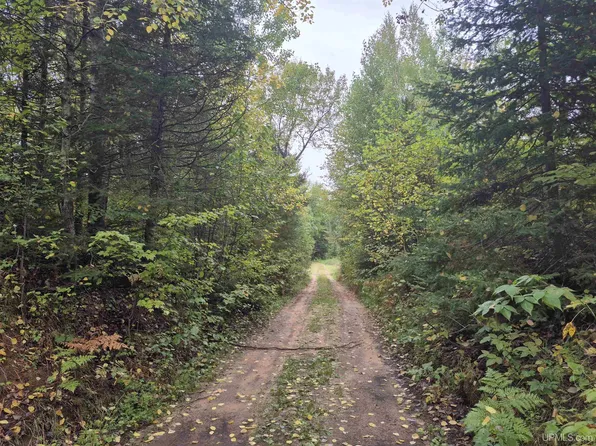 W Leeman Rd, Ralph, MI 49877