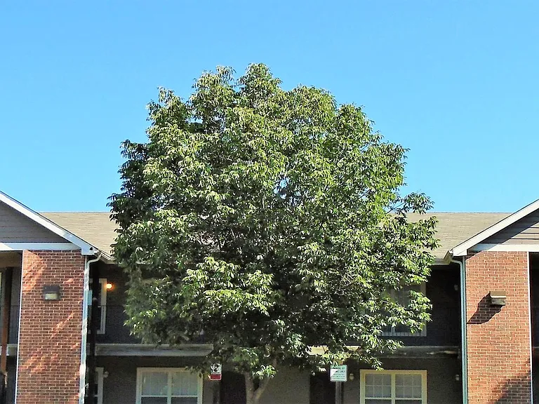 Rohan Ridge Apartments — Photo 11