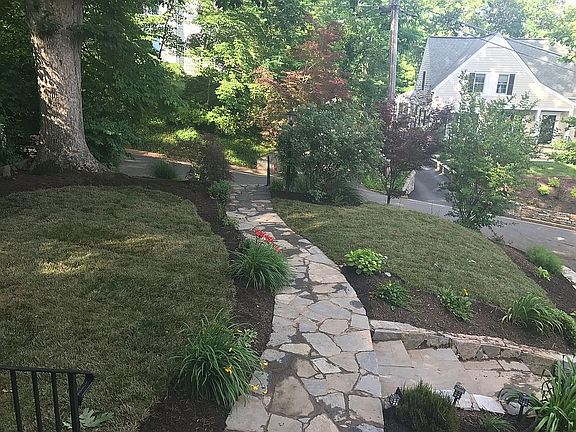 Front yard