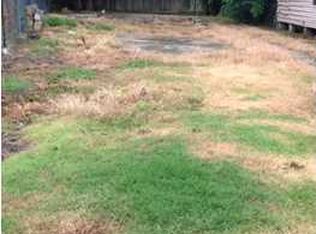901 Madeline Ave, Lafayette, LA 70501