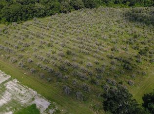 HOLLY HAMMOCK ROAD LOT 19, DE LEON SPRINGS, FL 32130