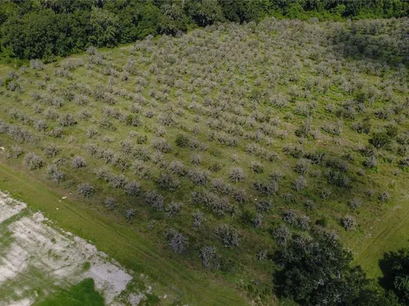 HOLLY HAMMOCK ROAD LOT 19, DE LEON SPRINGS, FL 32130