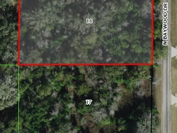 4136 N Baywood Dr, Hernando, FL 34442