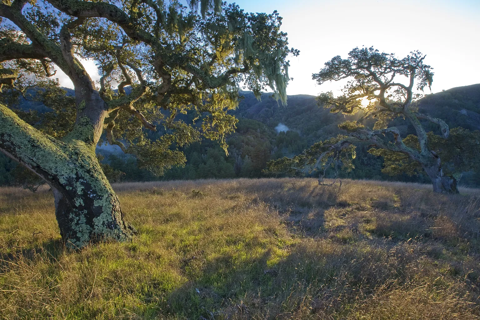 33 Rancho San Carlos Rd photo 1