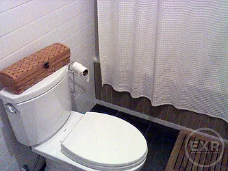 Rented by EXR