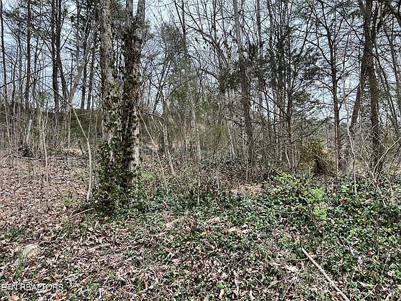 3rd image of Toomey Ln