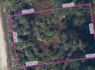 112 W Canal Way NE, Lake Placid, FL 33852