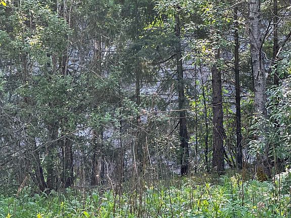 4th image of 21647 Thacker Mountain Rd