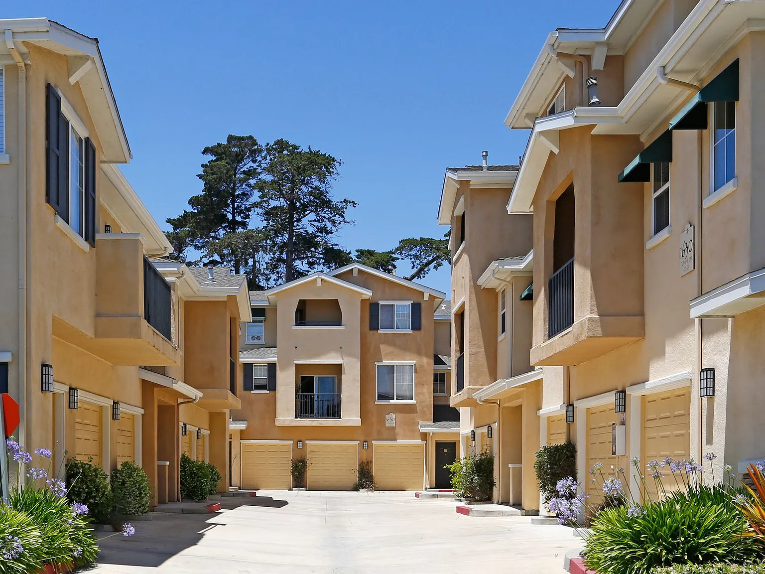 de Tolosa Ranch Apartments — Photo 3