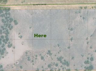 Olympic Dr SE, Deming, NM 88030