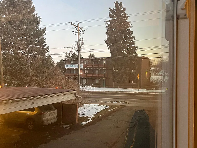 view out window from main bedroom (window faces east)