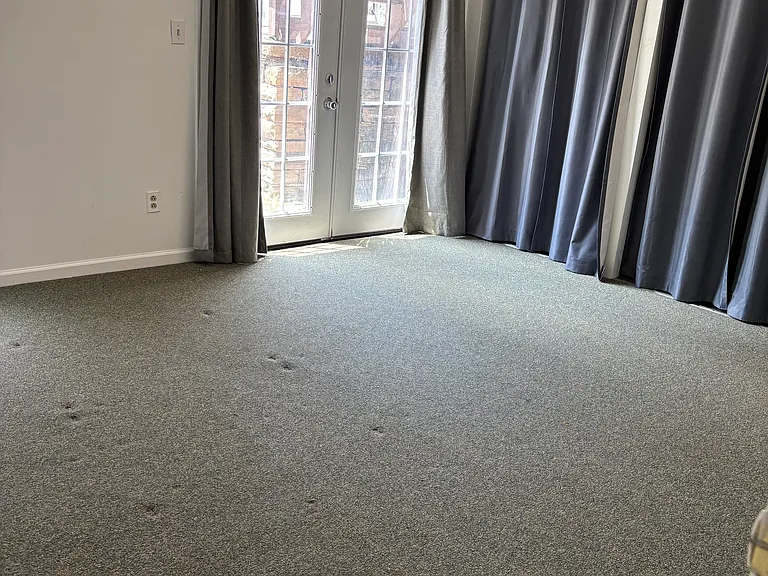 710 Copeland St #3 — Photo 3