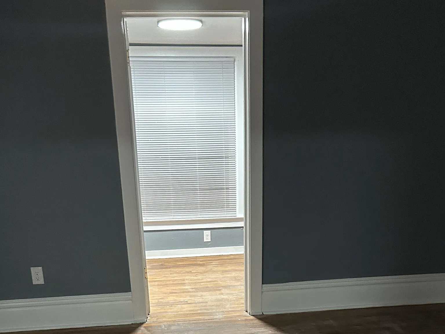 1 bed, $950 — Photo 3