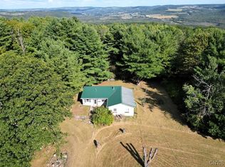 7250 Chrisler Rd, Savona, NY 14879