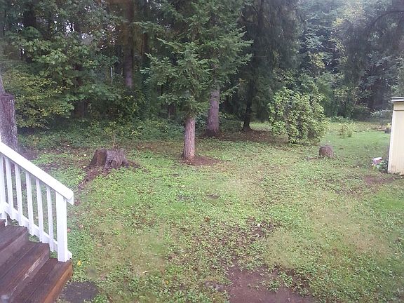 Morning view from kit table.