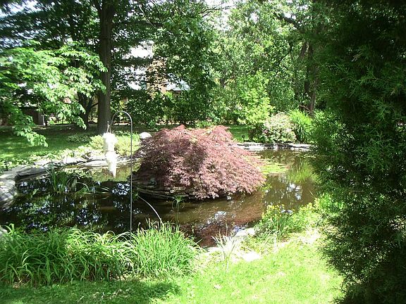 Pond with tiny island