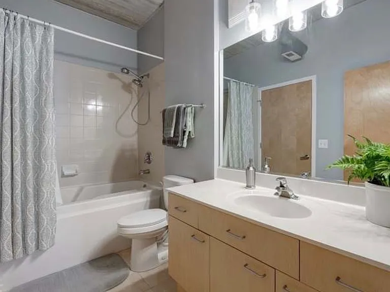 1430 S Michigan Ave #407 — Photo 9