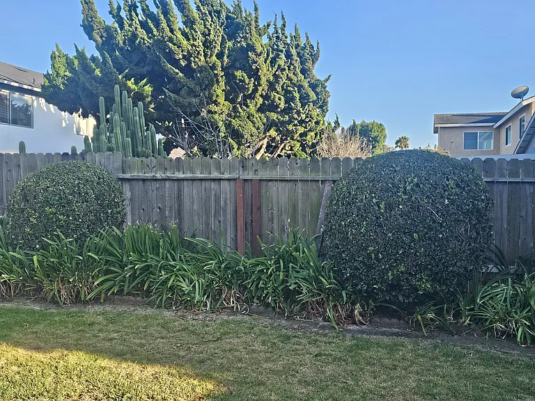 3410 Via Marina Ave — Photo 23