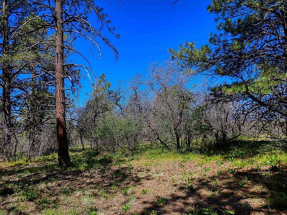 2nd image of 3367 Ranchland Drive