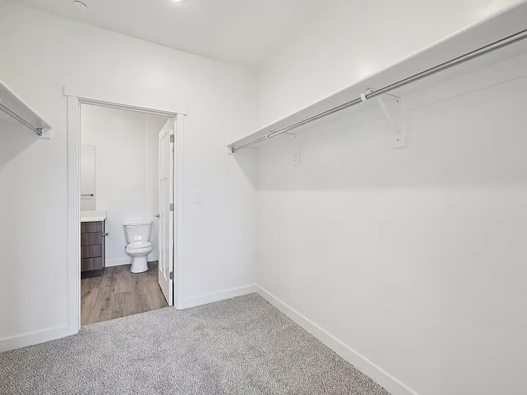 2 Bedroom Walkthrough Master Closet