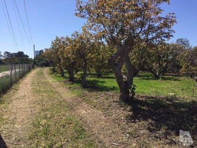 318 E Collins St, Oxnard, CA, 93036