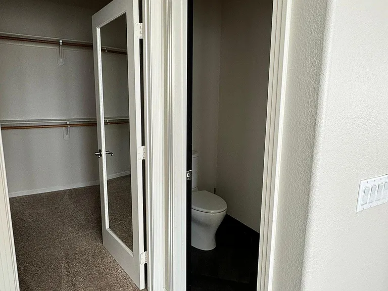 master closet and WC