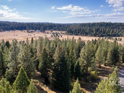 Whitefield Ln, McCall, ID, 83638