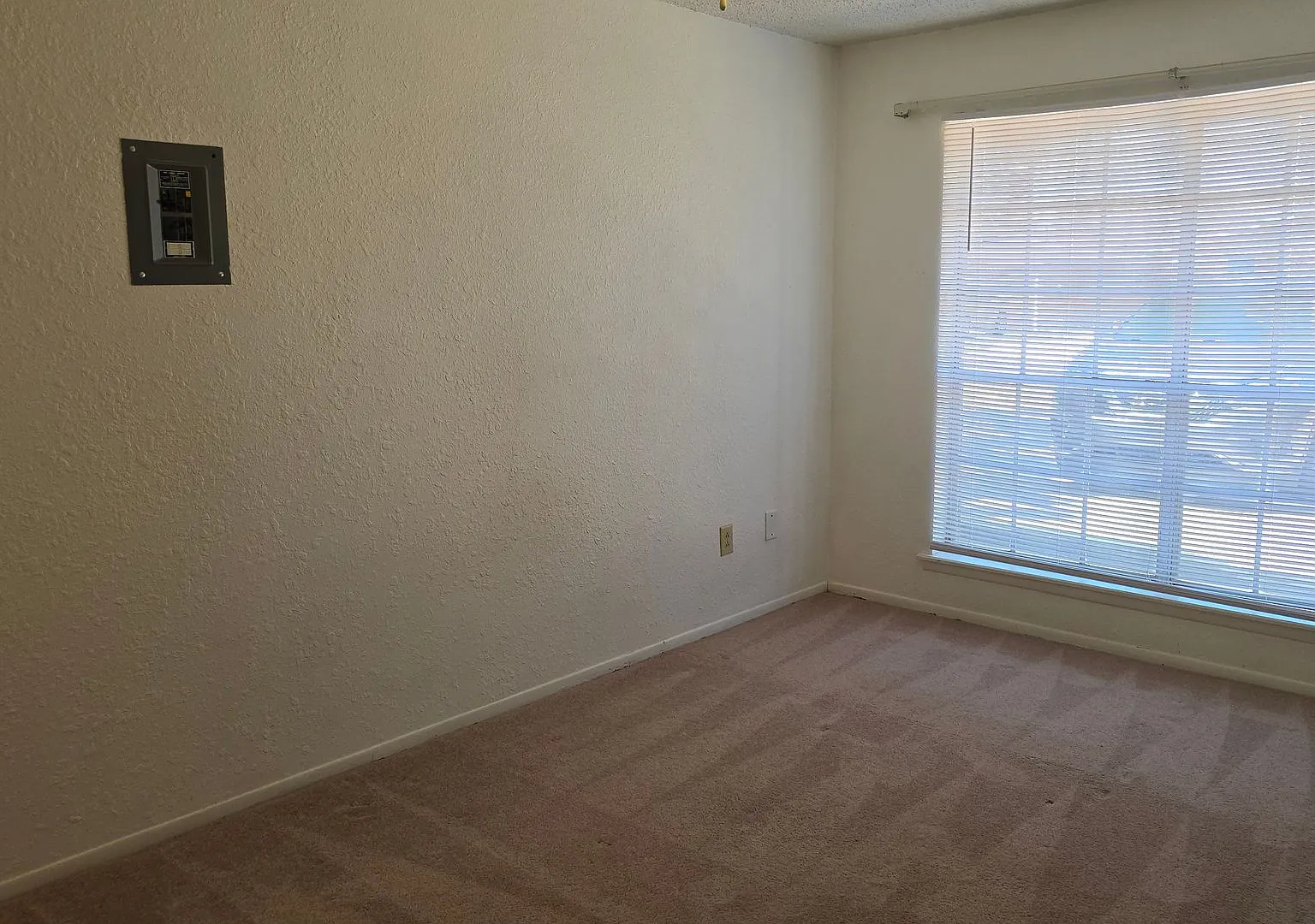 Sasser Dr. 113 — Photo 4