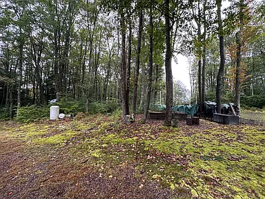 Property photo 49