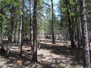 29 Cassal Rd, Winthrop, WA 98862