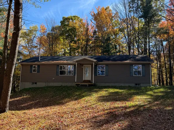 546 Dodge Lodge Rd, Richmondville, NY 12149