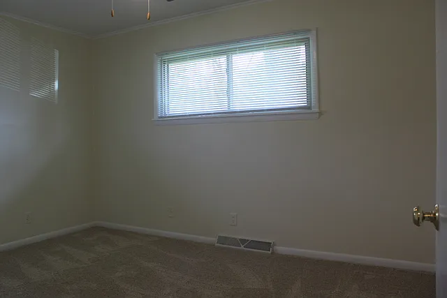 63 Pine Ct — Photo 11