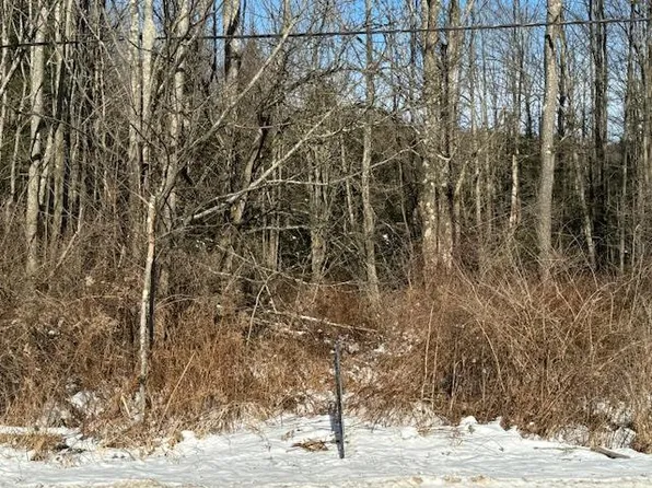 3581 Cotton Hollow Rd, Sayre, PA 18840