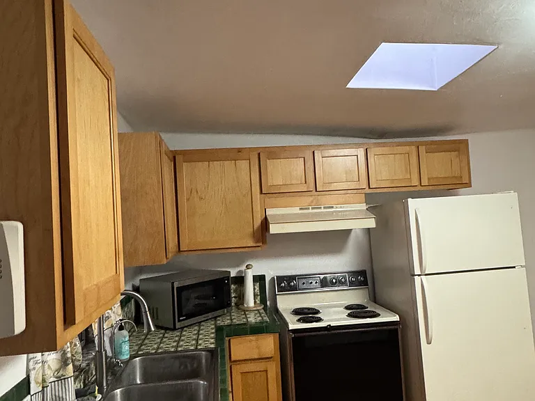 Skylight, microwave